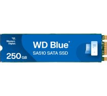 Disks Ssd Wd Blue Sa510 250gb M.2 2280 Sata Iii (wds250g3b0b)