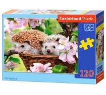 PUZZLE 120EL CASTORLAND B 13319 SPRINGTIME PUD2