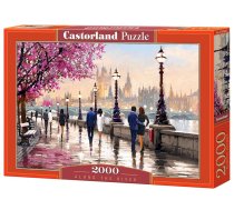 PUZZLE 2000EL CASTORLAND ALONG THE RIVER PUD14