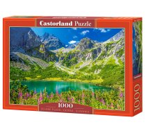 PUZZLE 1000EL CASTORLAND ZELENE PLESO SLOVAKIA14