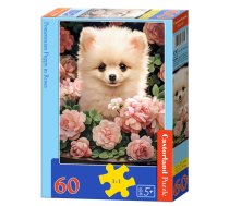 PUZZLE 60EL CASTORLAND POMERANIAN FARM PUD27