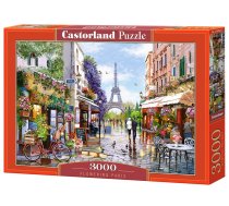 PUZZLE 3000EL CASTORLAND FLOWERING PARIS PUD14