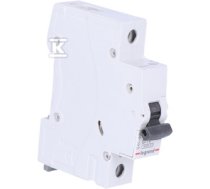 Miniature circuit breaker RX3 1P B 10A 6000A