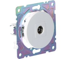 TV socket, white, BETA ONNLINE