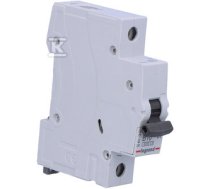 Miniature circuit breaker RX3 1P B 16A 6000A