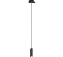 Lampa wisząca Trio Lampa sufitowa czarna nowoczesna Trio MARLEY pojedyncza 312400132