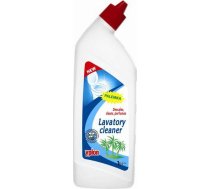 Staples Yplon Gēls Tualetes Palemka 1l