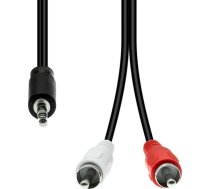 Kabelis Proxtend Mini-jack 3-pin To 2 X Rca Cable M-m Black 1.5m