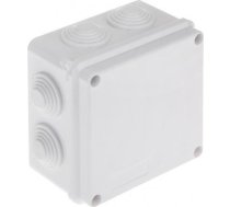 Kārba Atzarojuma Z Dławnicami Pk-100x100