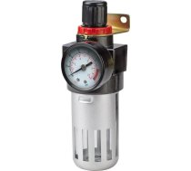Pro-line Reduktors Ar Manometru Un Filtru 1/4" Proline 66386 Proline