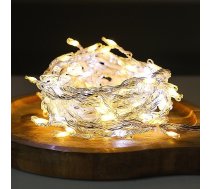 Ziemassvētku gaismas Led - 2,5m/252 Lampek Warm White/cold White Ehd-ls07