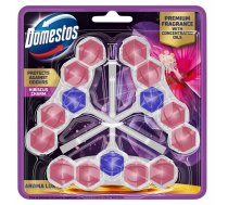Domestos Kubs Tualetes Aroma Lux Hibiscus Oil & Wild Berries 2 X 55 G