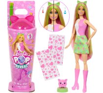 Mattel Barbie Pop Reveal doll from the series: Shake + cat and accessories ZA6061