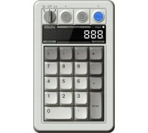 8bitdo Pro2 Džoistiks G Izdevums Klasiskā