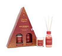 La Casa De Los Aromas_set Kociņi Aromātiskās Sarkans AUGĻI 95ml + Svece Aromātiskā Sarkans AUGĻI 120g