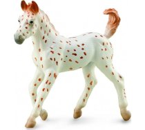 Figūriņa Collecta Zirgs Knabstrupper Foal