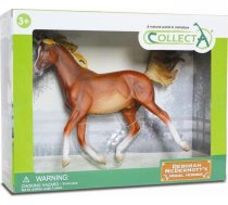 Figūriņa Collecta Zirgs ērzelis šķirnes Arabskiej-chestnut 1:12
