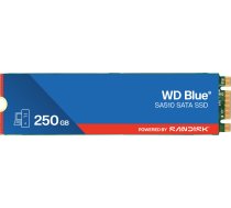 Disks Ssd Wd Blue Sa510 250gb M.2 2280 Sata Iii (wds250g3b0b)