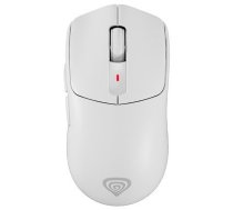 Pele Genesis Zircon 500 (nmg-2114)