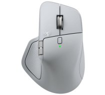 Pele Logitech Mx Master 4 Pelēka (910-007563)