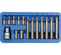 Komplekts Biti Torx T20-t55 15 Gab.