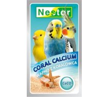 Nestor Nestor Wapno Putniem Z Koralowca