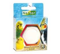 Nestor Wapno Putniem