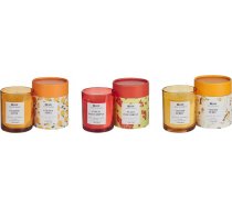Beliani 3 Sveces Aromātiskās Sojowe Persiks Sarkans Porzeczka/ Miechunka/ Zelta Jabłko Colorful Barrel