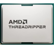 Procesors Amd Ryzen Threadripper 9960x, 4.2 Ghz, 128 Mb, Oem (100-000001595)