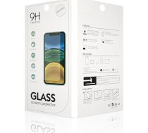 Oem Stikls Rūdīts Xiaomi Redmi Note 12 Pro 4g/5g / Note 11 Pro 5g (global)