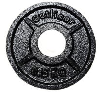 CAST IRON PLATE YLPS36A 0.5KG 31MM OUTLI