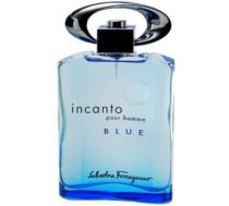 Salvatore Ferragamo Incanto Pour Homme Blue EDT 100 ml