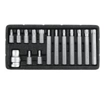 Komplekts Atslēgu Torx T20-t55 15sztuk