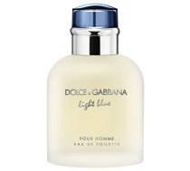 Dolce&gabbana Light Blue Pour Homme Edt Aerosols 40ml