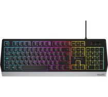 Tastatūra Genesis Rhod 300 Rgb (nkg-1817)