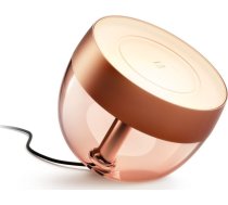 Lampa Galda Philips Hue Iris Gen4 Eu/uk Copper