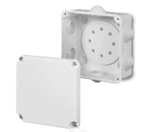 Elektro-plast Kārba Atzarojuma Ep-lux Pk-2 Ip55 118 X 118 X 60mm (0222-00)