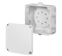 Elektro-plast Kārba Atzarojuma Ep-lux Pk-2 Ip55 118 X 118 X 60mm (0221-00)