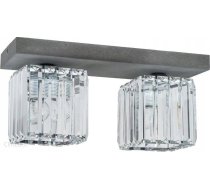 Lampa Griestu Griestu Lampa Gaismeklis Griestu Spot Light Gallant 2x60w E27 Betons/caurspīdīgs 2244236