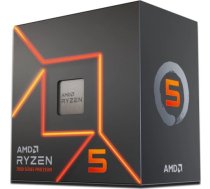 Procesors Amd Ryzen 5 7600, 3.8 Ghz, 32 Mb, Box (100-100001015box)