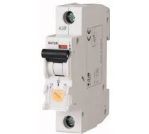 Eaton Slēdzis Taryfowy 1p 13-20a Z-ts20/1 (266850)