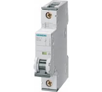 Siemens Slēdzis Pārsprieguma C6a 1p 220v Dc 230/400v Ac 10ka 5sy5106-7