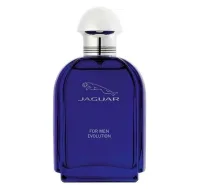 Jaguar Evolution Men Edt Aerosols 100ml