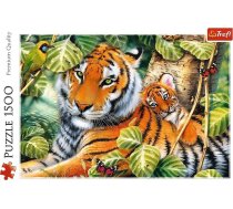 Trefl Puzzle 1500 Divi Tygrysy