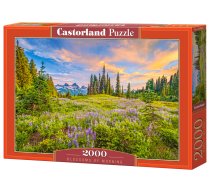 PUZZLE 2000EL CASTORLAND BLOSSOMS OF MORNING PUD