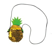 Soma Plecu Party Ananas Stk Pb 24/48 W**