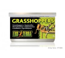 Grasshoppers EXO TERRA, 34g