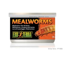 Mealworms EXO TERRA 34g