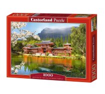 PUZZLE 1000EL CASTORLAND C 101726 REPLICA PUD