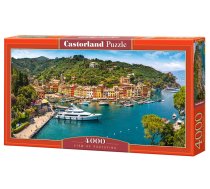 PUZZLE 4000EL CASTORLAND C 400201 VIEW OF POR